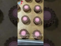 Het automatische Materiaal van de Machine Chinese Mooncake van Mooncake Encrusting